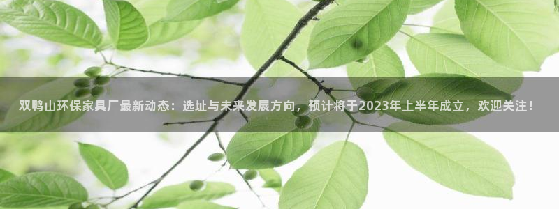 沐鸣2平台黑款