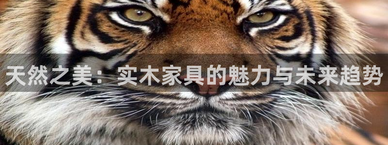 沐鸣2平台正规么