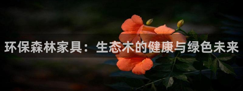 沐鸣2代理主管qq