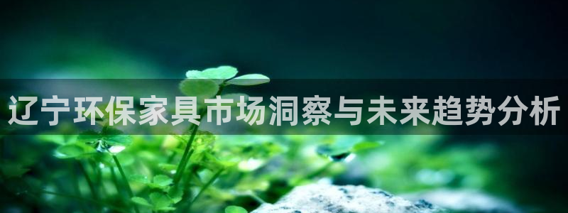 沐鸣2平台网站是什么：辽宁环保家具市场洞察与未来趋势分析