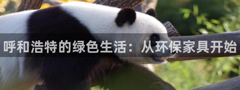 沐鸣2平台在哪里