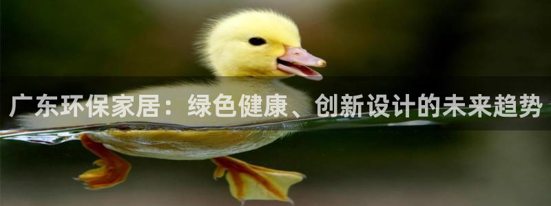 沐鸣2注册开户：广东环保家居：绿色健康、创新设计的未来趋势