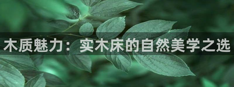 沐鸣2测速注册：木质魅力：实木床的自然美学之选