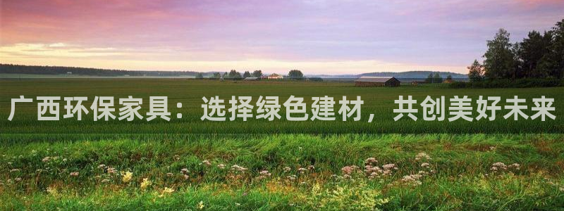 沐鸣2平台网页版：广西环保家具：选择绿色建材，共创美好未来